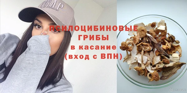 Альфа ПВП Верея
