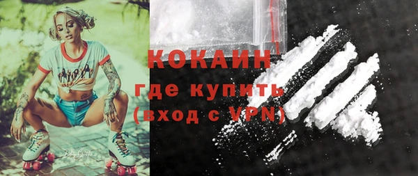 Альфа ПВП Верея