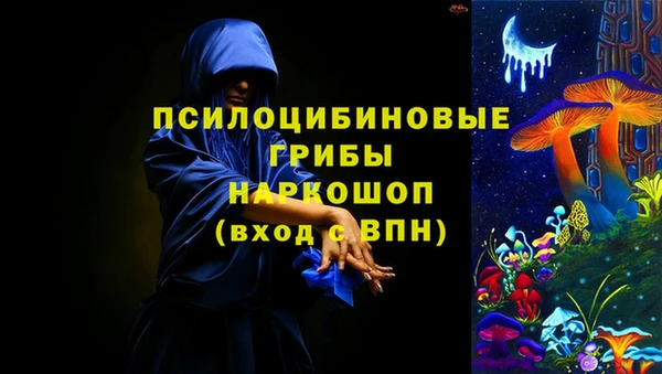 Альфа ПВП Верея