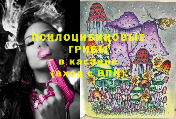 Альфа ПВП Верея