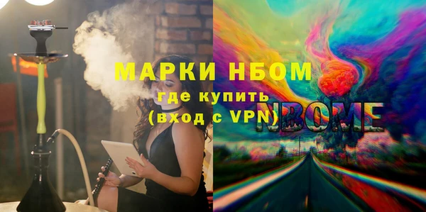 Альфа ПВП Верея