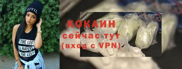 Альфа ПВП Верея
