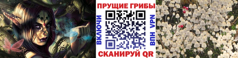 Галлюциногенные грибы MAGIC MUSHROOMS  маркетплейс телеграм  Магнитогорск  MEGA рабочий сайт 