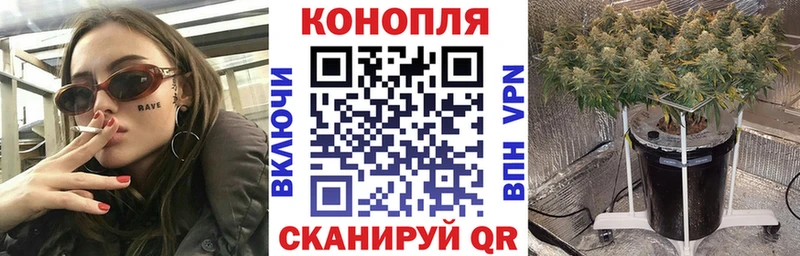 МАРИХУАНА план  мега вход  Магнитогорск  где купить наркоту 